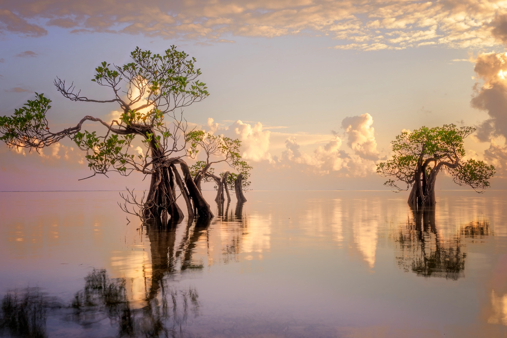 Indonesia