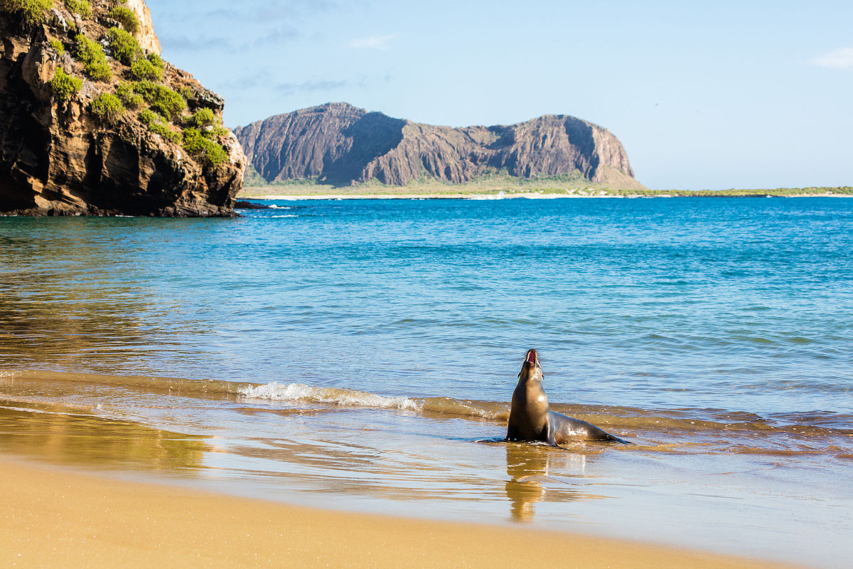 Galapagos: Intense Island Unforgettable Adventure