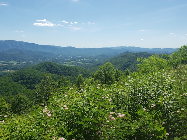 Knoxville